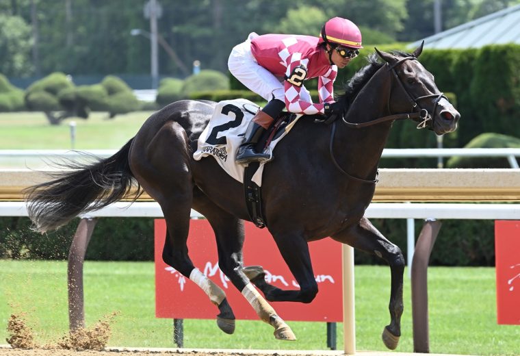 Ewing - Foto: Coglianese Photo