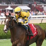 La Mehana (Fr) - the Glens Falls G2 - credit Chelsea Durand / Coglianese Photo