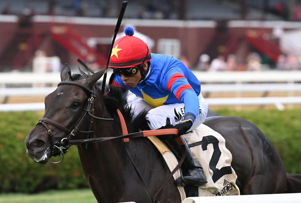 Mommy's Turn - Suzie O'Cain Stakes - credit Chelsea Durand/Coglianese Photo
