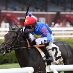 Mommy's Turn - Suzie O'Cain Stakes - credit Chelsea Durand/Coglianese Photo