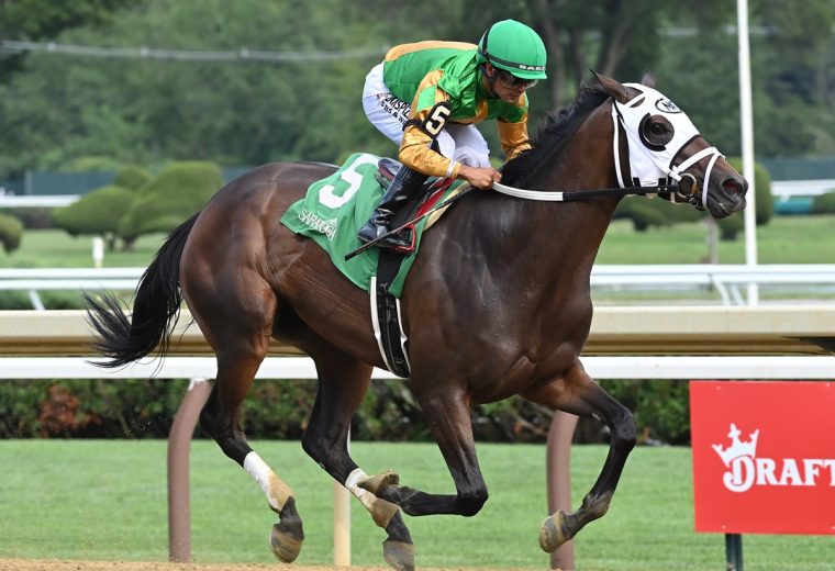 My Mane Squeeze - the Johnstone Stakes - Coglianese Photo