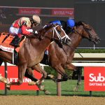 Phileas Fogg the Suburban - credit Janet Garaguso - Coglianese Photo