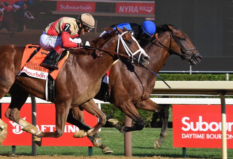 Phileas Fogg the Suburban - credit Janet Garaguso - Coglianese Photo