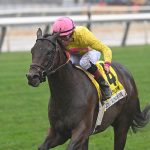 Zulu Kingdom the Pilgrim credit Chelsea Durand / Coglianese Photo