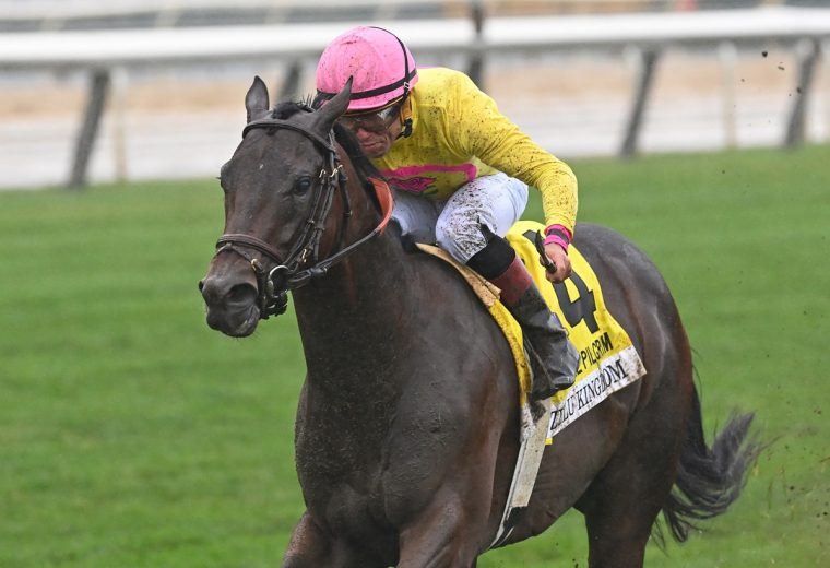 Zulu Kingdom the Pilgrim credit Chelsea Durand / Coglianese Photo