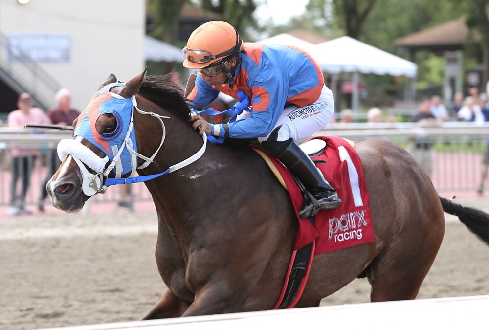 Buccherino - Representative's Sprint Stakes - Photo by Bill Denver/EQUI-PHOTO.