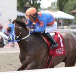 Buccherino - Representative's Sprint Stakes - Photo by Bill Denver/EQUI-PHOTO.