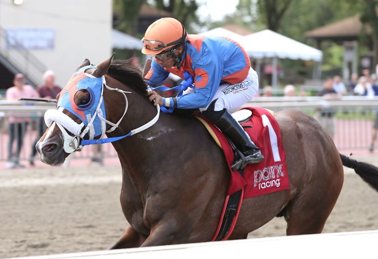 Buccherino - Representative's Sprint Stakes - Photo by Bill Denver/EQUI-PHOTO.