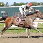 Offaly Cool - Mayor's Mile Stakes - Parx Racing - Photo by Nikki Sherman/EQUI-PHOTO.