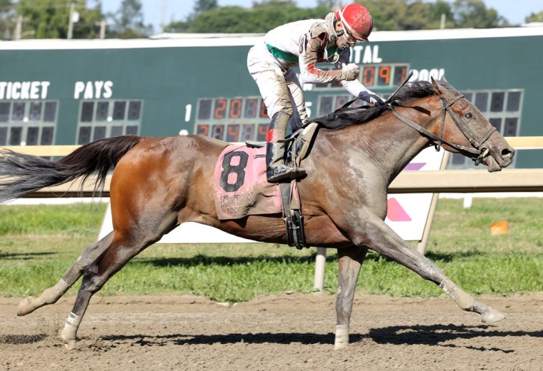 Offaly Cool - Mayor's Mile Stakes - Parx Racing - Photo by Nikki Sherman/EQUI-PHOTO.