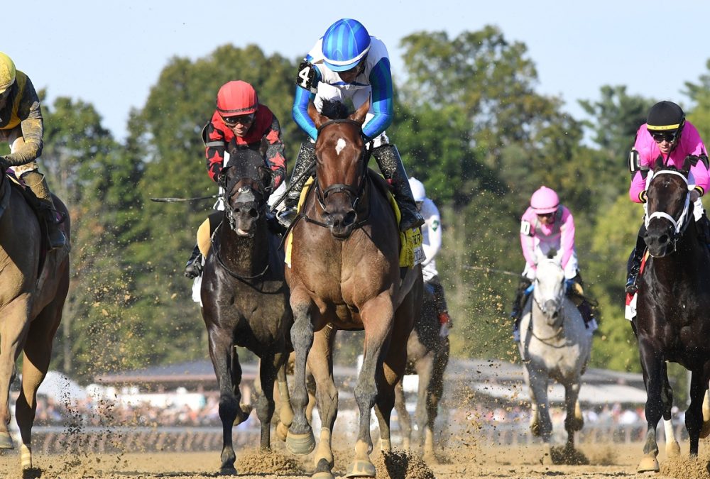 Bookem Danno - the Forego - Coglianese Photo