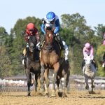 Bookem Danno - the Forego - Coglianese Photo