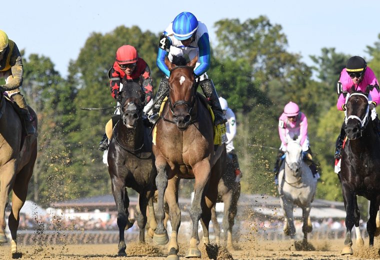 Bookem Danno - the Forego - Coglianese Photo