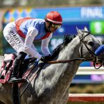 Brant - Beyer 101 - Benoit Photo / Del Mar