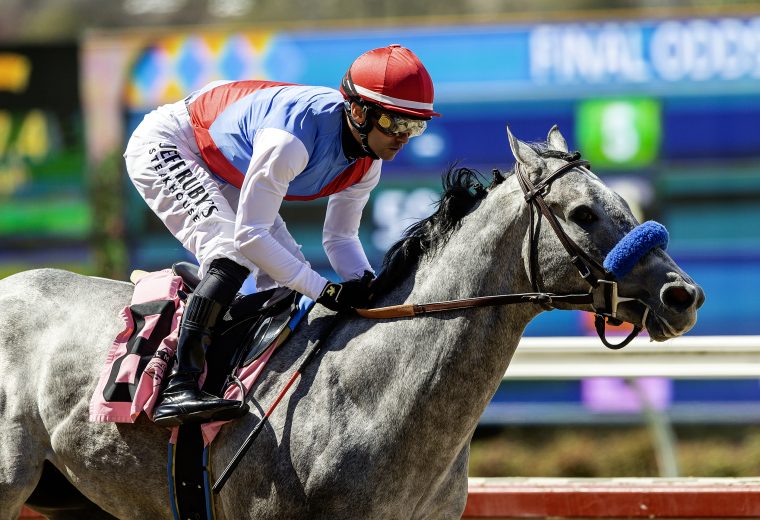 Brant - Beyer 101 - Benoit Photo / Del Mar