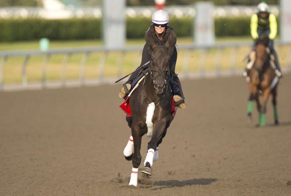 166th King's Plate contende DeWolf at Woodbine Racetrack / Michael Burns Photo