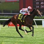 Deep Learning - Coglianese Photo