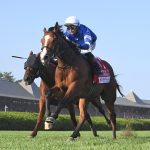 El Cordobes - Sword Dancer G1 - Coglianese Photo