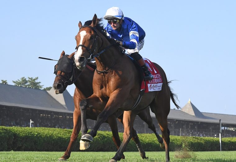 El Cordobes - Sword Dancer G1 - Coglianese Photo