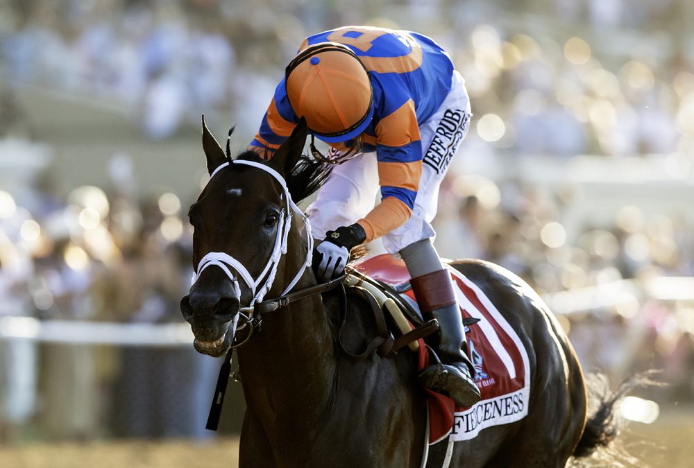 Fierceness $1,000,000 Pacific Classic G1- Del Mar CA. - © BENOIT PHOTO