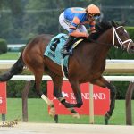 Grazie (L. Saez & T. Pletcher) Saratoga - Coglianese Photo