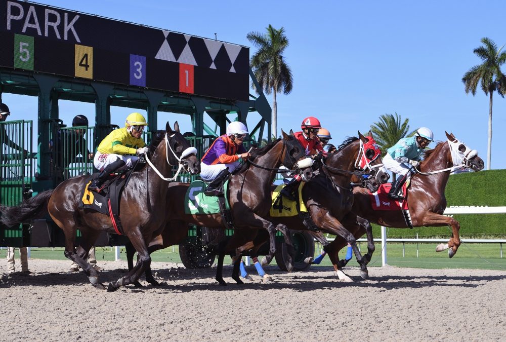 Gulfstream Park - credito Ryan Thompson - Coglianese Photo
