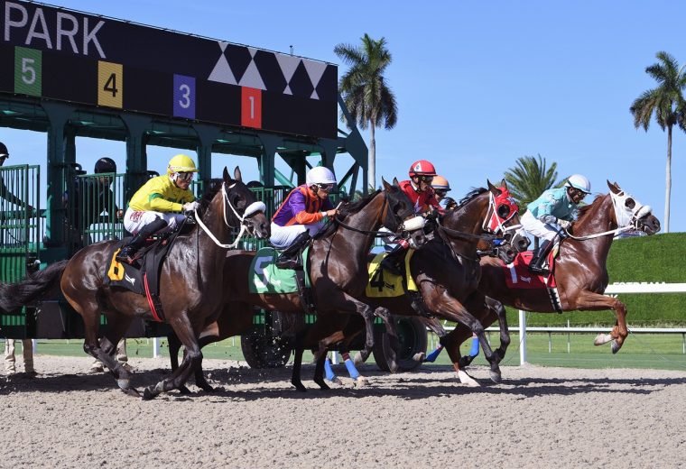 Gulfstream Park - credito Ryan Thompson - Coglianese Photo