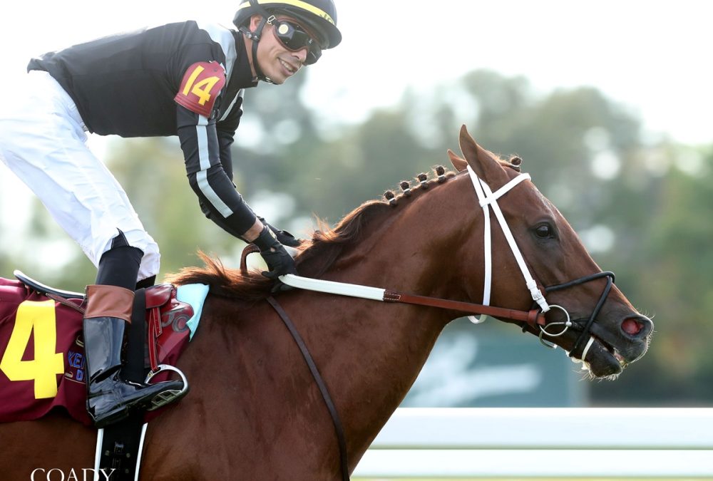 LAGYNOS - The Keeneland Sales Tapit Stakes - Coady Media - Renee Torbit