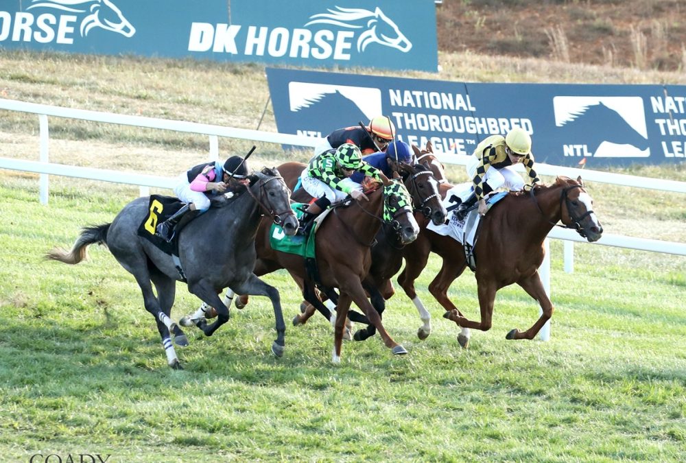 MERINGUE - The Kentucky Downs Juvenile Fillies - Kentucky Downs - - Shelly Radosevich - Coady Media