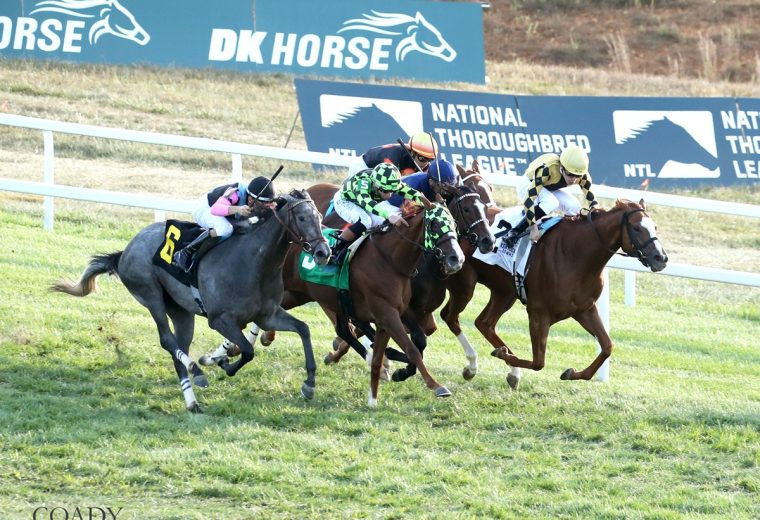 MERINGUE - The Kentucky Downs Juvenile Fillies - Kentucky Downs - - Shelly Radosevich - Coady Media