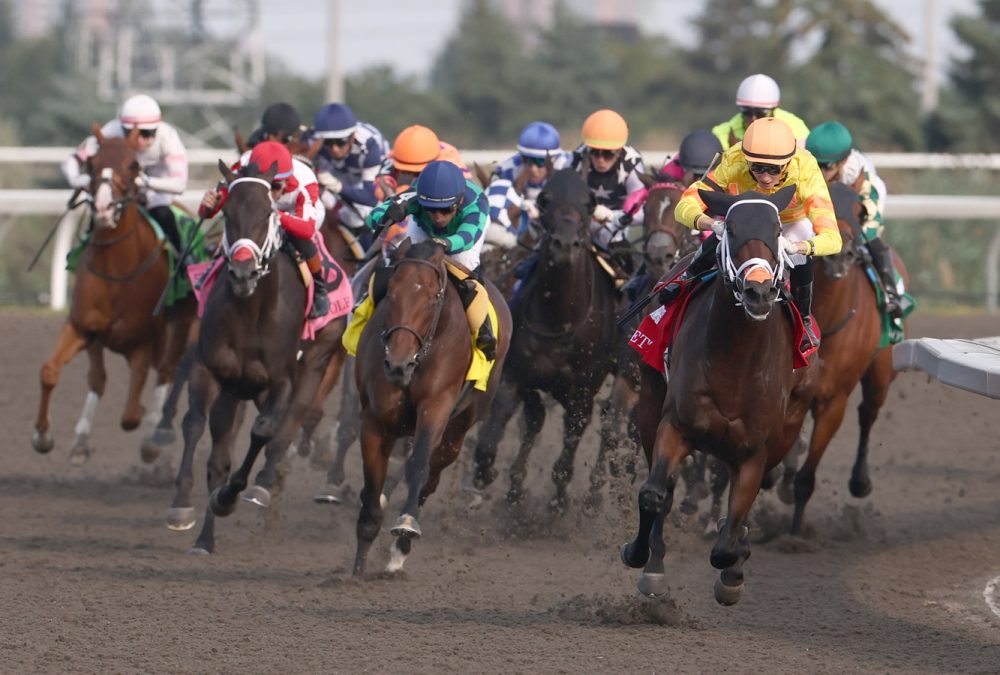 Woodbine Racetrack - Michael Burns Photo