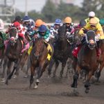 Woodbine Racetrack - Michael Burns Photo