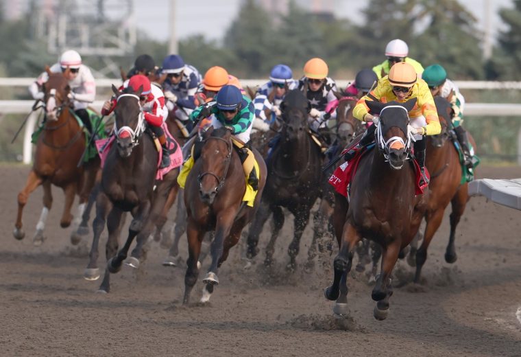 Woodbine Racetrack - Michael Burns Photo