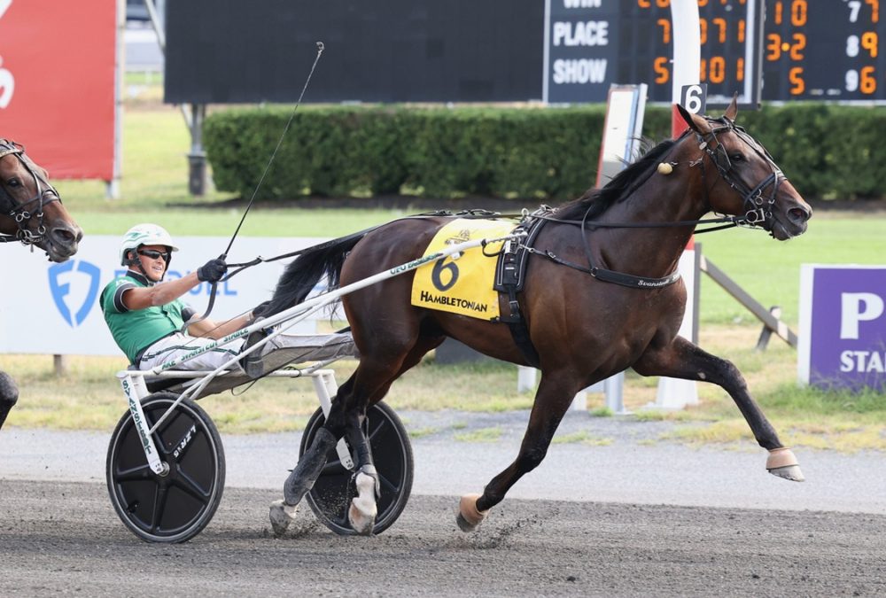 Nordic Catcher S - Hambletonian 100 - Nikki Sherman photo - DRF Harness
