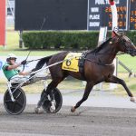 Nordic Catcher S - Hambletonian 100 - Nikki Sherman photo - DRF Harness
