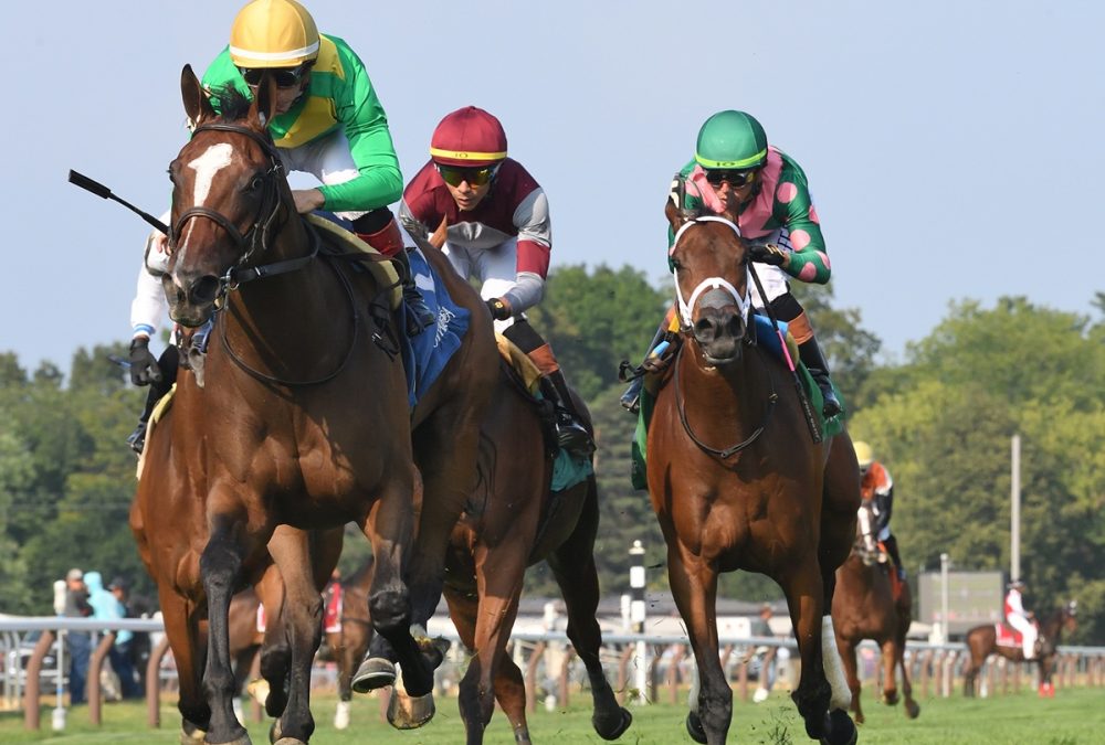 Ozara - the Ballston Spa G2 - credito Coglianese Photo