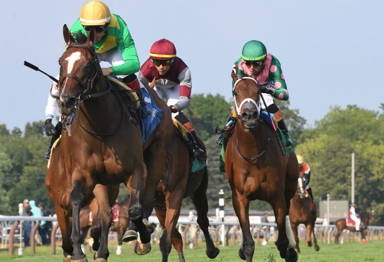 Ozara - the Ballston Spa G2 - credito Coglianese Photo