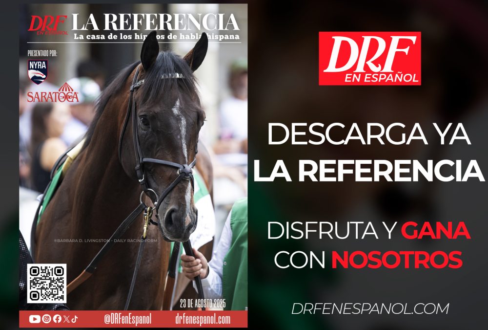 La Referencia, Saratoga Agosto 23