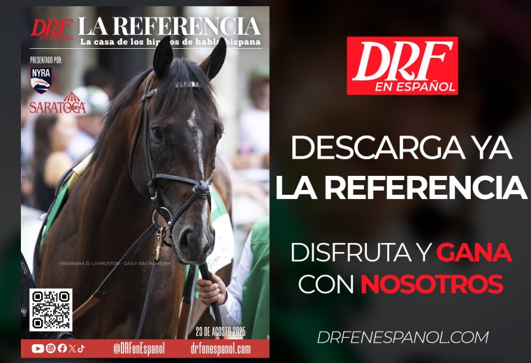 La Referencia, Saratoga Agosto 23