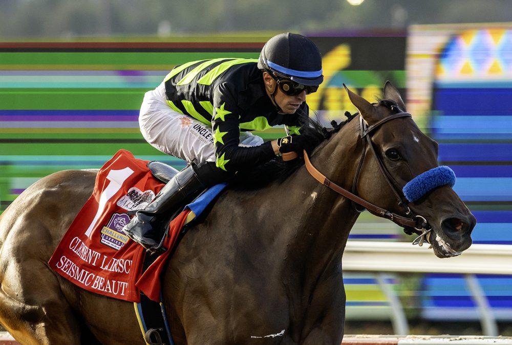 Seismic Beauty – Grade I, $400,000 Clement L. Hirsch Stakes -Del Mar Thoroughbred Club, Del Mar CA. – © BENOIT PHOTO