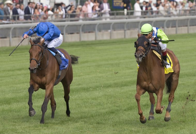 She Feels Pretty - E.P. Taylor G1T - Woodbine - Michael Burns Photo