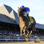 Sovereignty - the Travers - Coglianese Photo