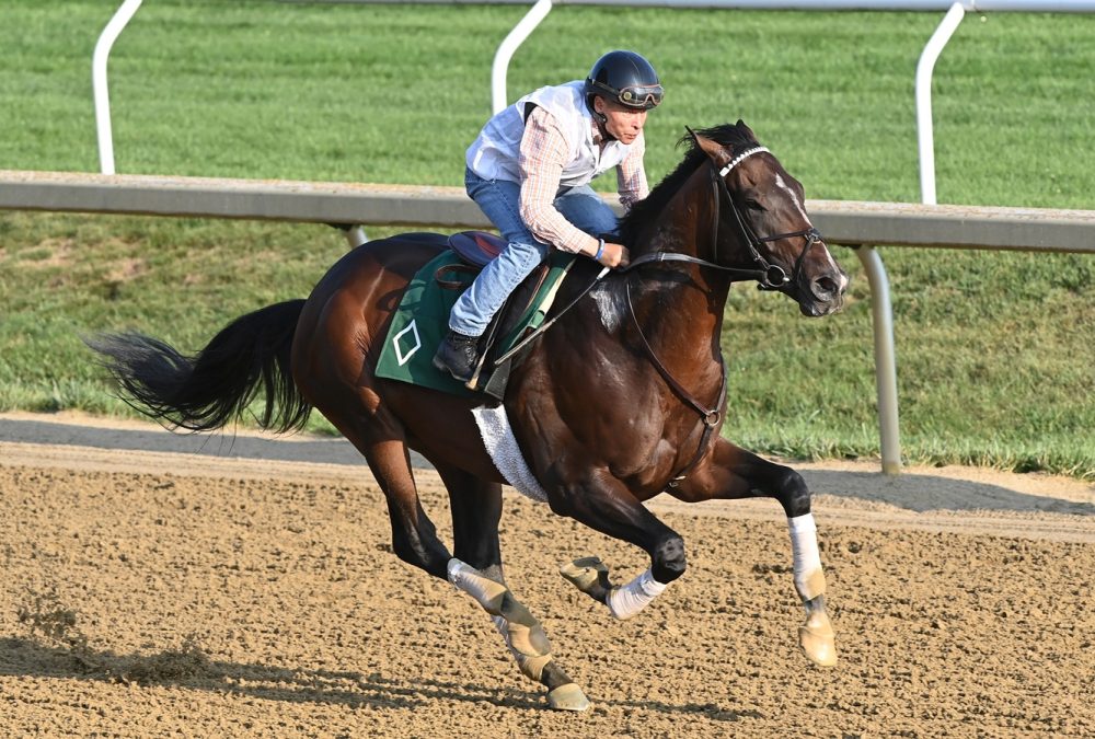 Sovereignty (workout) - Coglianese Photo