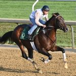 Sovereignty (workout) - Coglianese Photo