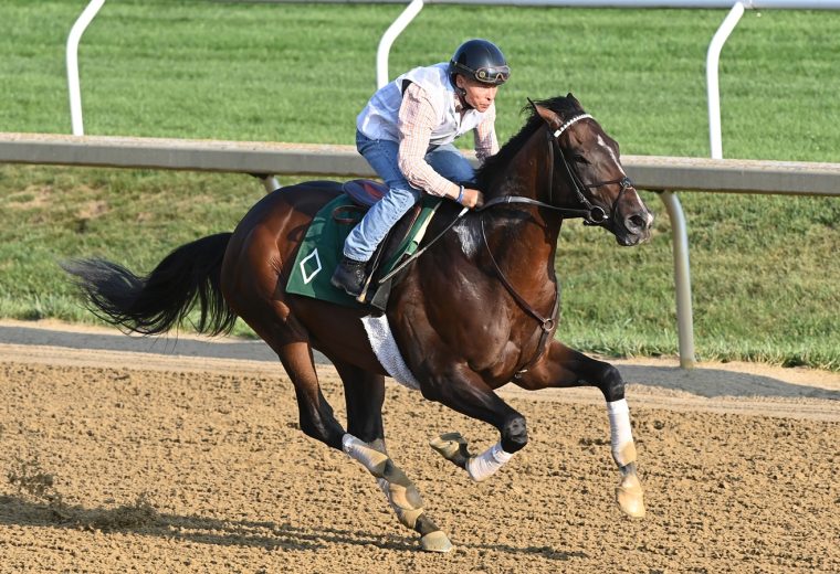 Sovereignty (workout) - Coglianese Photo