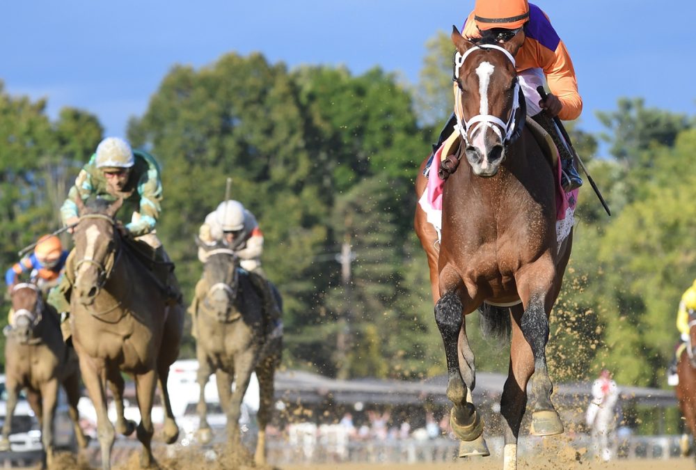 Tommy Jo - the Spinaway G1 - Coglianese Photo