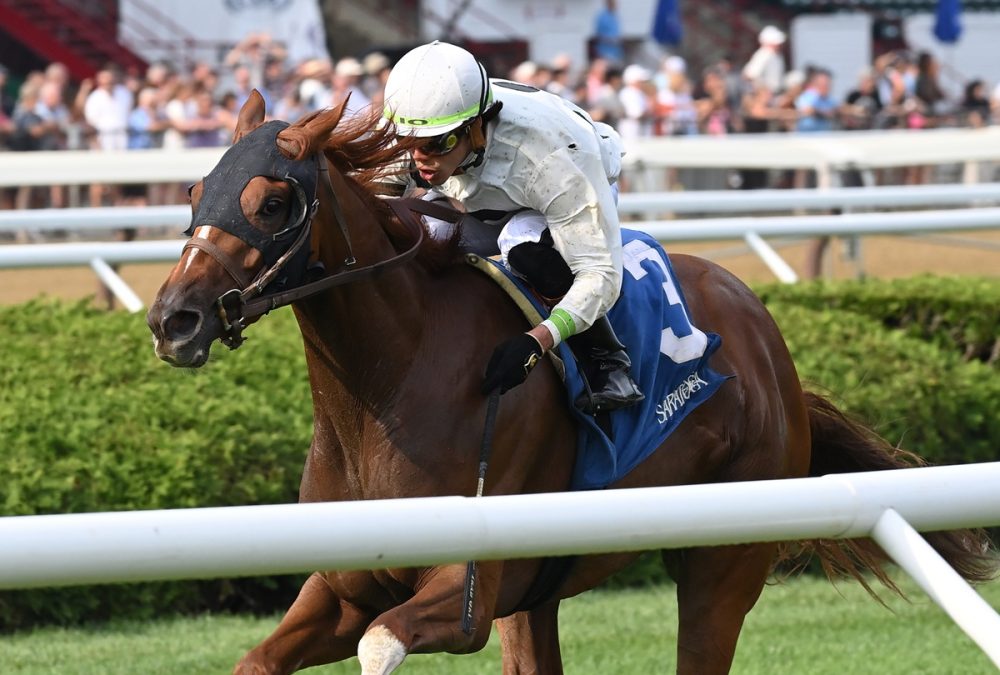 Trail of Gold - the NYSS - credit Chelsea Durand - Coglianese Photo