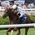 Trail of Gold - the NYSS - credit Chelsea Durand - Coglianese Photo