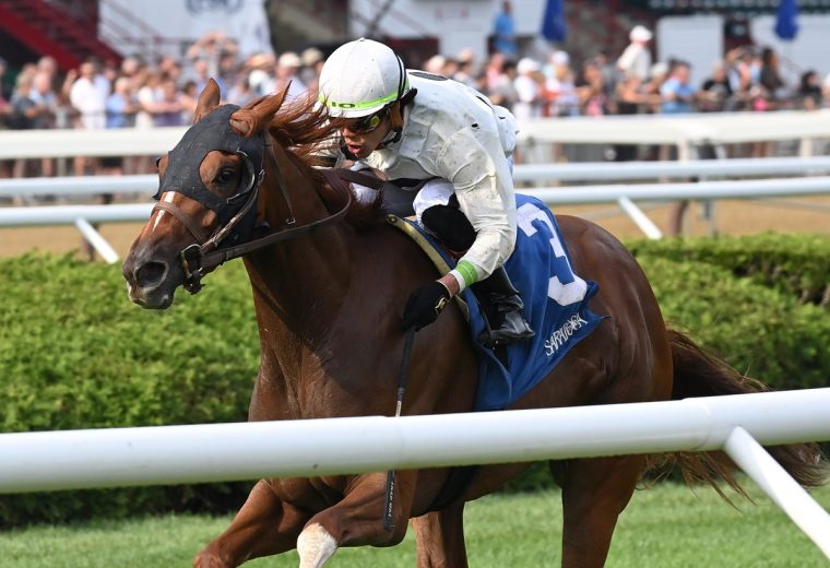 Trail of Gold - the NYSS - credit Chelsea Durand - Coglianese Photo
