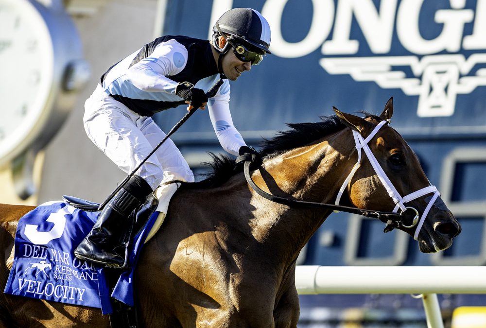 Velocity - Del Mar Oaks - Del Mar - Benoit Photo
